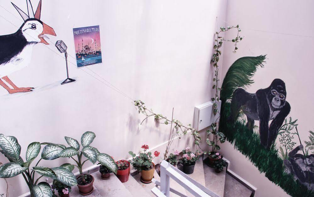Hostel Puffin Boutique - Stambuł Zewnętrze zdjęcie